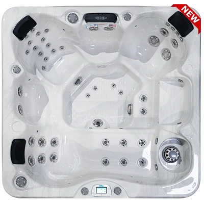 Avalon-X EC-849LX hot tubs for sale in Alamogordo